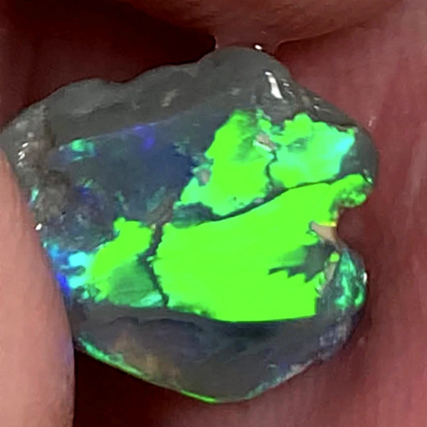 Lightning Ridge Miners Bench® Little Knobby Opal Rub Gorgeous Dark Base Rough / Rub 1.45cts Vibrant & Bright Multifires broad pattern 10x10x2.5mm WAA49