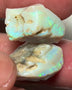 Lightning Ridge Rough Big Thick Seam Opals 50.00cts Stunning Light base with Gorgeous Bright Multi fires 27x17x16 & 20x12x11 mm NSA024