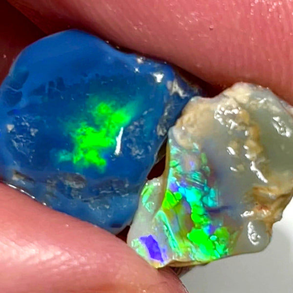 Lightning Ridge 9.5cts Bright & gorgeous Opal rough pair Stunning Green Blue fires 12x11x5 & 14x9x4 mm 1127