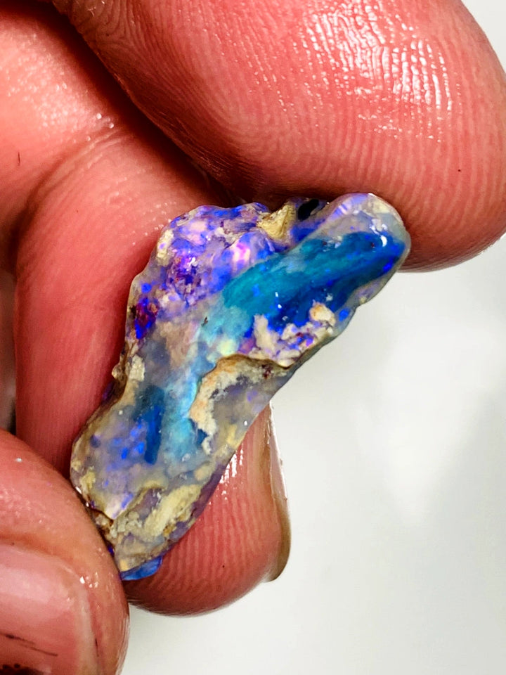 Lightning Ridge Rough Opal 7.9cts Opalised wood fossil Dark Crystal lots of Bright Fires showing  25x10x5mm WAA46