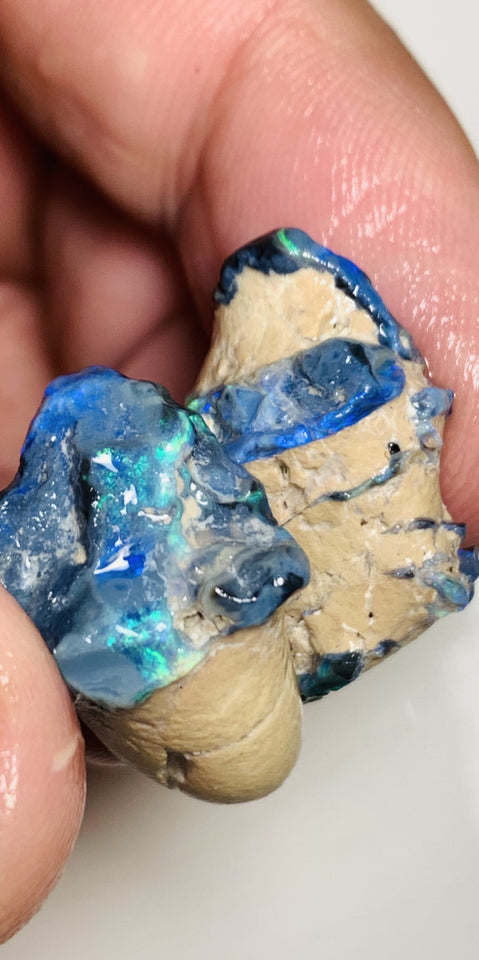 Lightning Ridge Rough Opal 45cts Black Seam Pair Still on host rock Green/blue fires 24x20x12mm & 23x17x10mm WST74