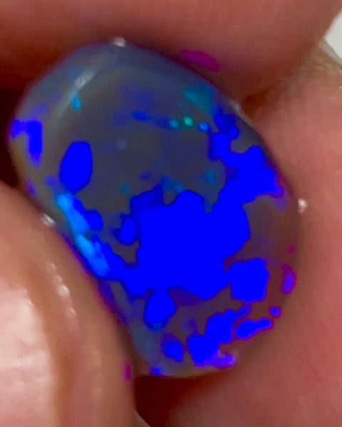 Lightning Ridge Gem Bright Dark Base Crystal Knobby Rub/preform 3.95cts Gorgeous Full face of mixed patterns with Bright Royal Blue fires 14x9x3.5mm NSW042