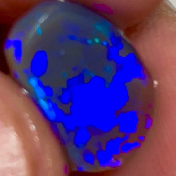 Lightning Ridge Gem Bright Dark Base Crystal Knobby Rub/preform 3.95cts Gorgeous Full face of mixed patterns with Bright Royal Blue fires 14x9x3.5mm NSW042