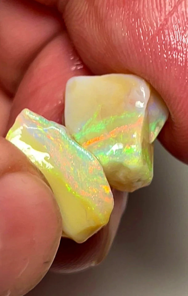 NEW YEARS DAY THNK U AUCTION4  L/Ridge Rough Opal 12.75cts Cutters Seam Bright gorgeous Yellow/Orange Dominant fires 15x9x7mm & 10x9x8mm SKU#0662