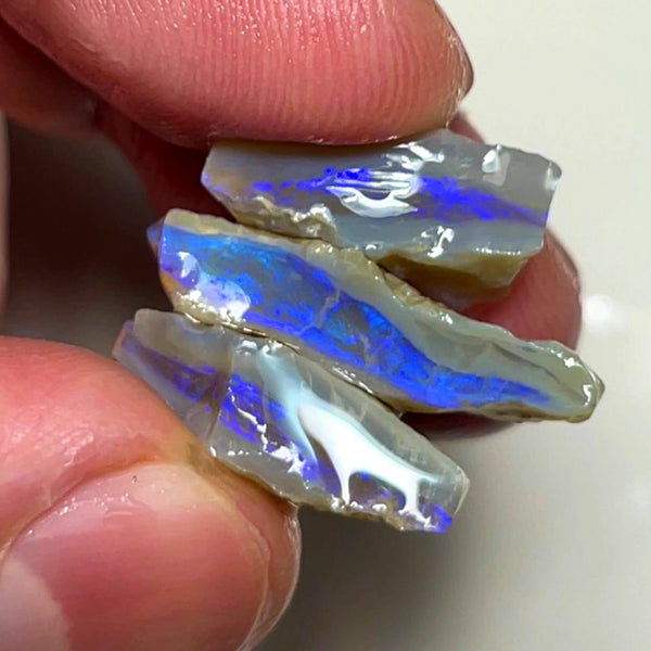 Lightning Ridge Rough Opal 20cts Stack of Dark Base Crystal Seams Bright Blues colour fires to Cut / carve & polish 22x12x5mm to 16x9x7mm 1026