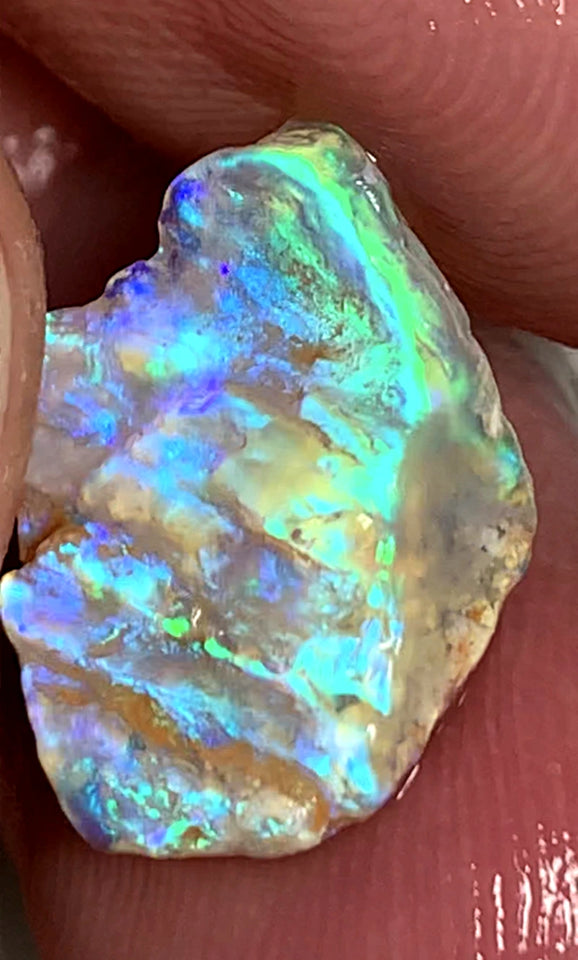 Lightning Ridge Rough Opal 4.4cts Opalised wood fossil Crystal Saturation of Fires showing 17x10x4mm WSZ80