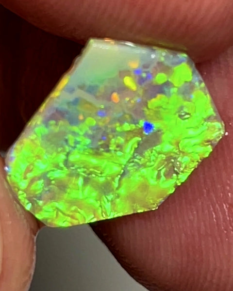 WARNING SUN GLASSES NEEDED Bling Rough / Rub Jewellery Grade Crystal opal Suit Inlay or doubleting Miners Bench® 1.4cts Saturation of Gorgeous Vivid Vibrant Multifires  14.000 x 11.000 x 1.500 mm WAE0