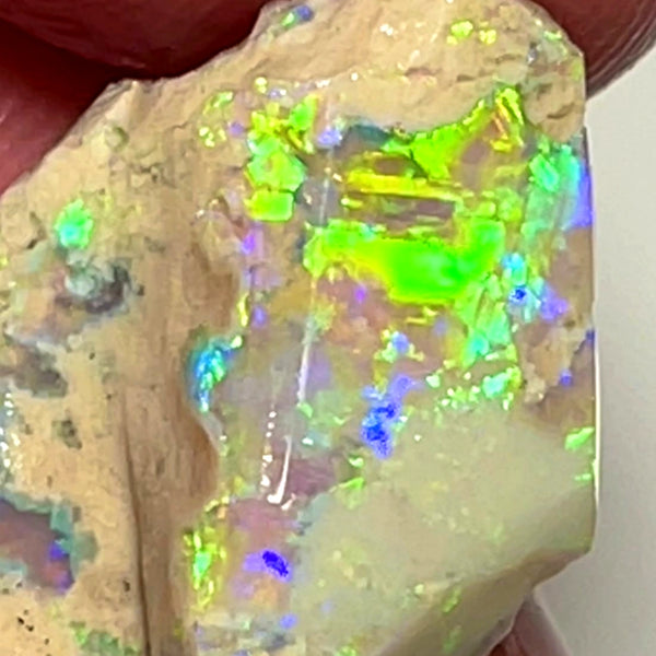 Lightning Ridge 8cts Bright & gorgeous Crystal knobby Opal rough to cut/carve Bright Multicolours 21x13x4mm 1106