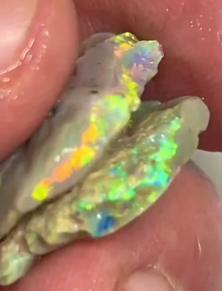 Allawah Knobby opal rough pair to cut 15.75cts Gorgeous Bright Yellow/Green/Orange dominant fires in highly visible bars 22x17x3mm & 19x13x3 mm NEW952