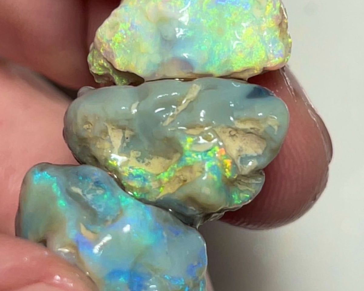 Lightning Ridge Rough Nice Sized Knobby Trio 49.00cts Bright Multicolours to cut explore and expose 23x18x12mm to 18x10x9mm Sold as Gamble Auction97