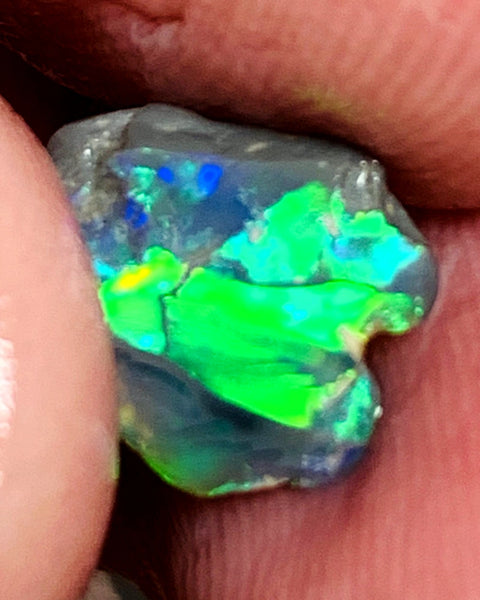 Lightning Ridge Miners Bench® Little Knobby Opal Rub Gorgeous Dark Base Rough / Rub 1.45cts Vibrant & Bright Multifires broad pattern 10x10x2.5mm WAA49