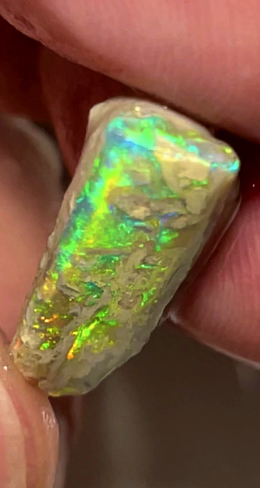 Lightning Ridge Rough Opal 11cts Opalised wood fossil Crystal Saturation of Vivid Vibrant Fires showing 23x12x8mm WAC10