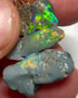 Allawah Knobby opal rough Trio to cut 12.00cts Gorgeous Super Bright Yellow/Green/Orange dominant fires to cut 19x10x4mmto 19x7x4 mm NEW953