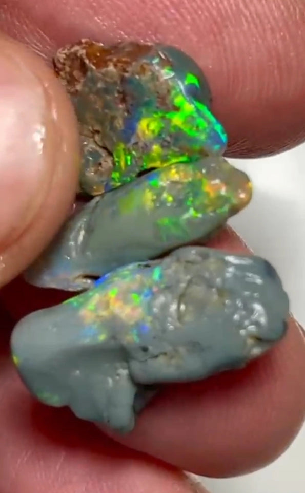 Allawah Knobby opal rough Trio to cut 12.00cts Gorgeous Super Bright Yellow/Green/Orange dominant fires to cut 19x10x4mmto 19x7x4 mm NEW953