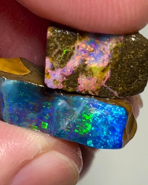 XMAS THANK YOU AUCTION2 Stunning Gemmy Winton Boulder Opal 20cts Rough rubs Bright & Vibrant fires 20x7x5mm to 14x8x4mm NSA009