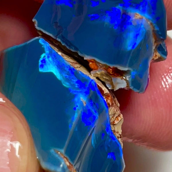 Gem Thick Black Seam opal rough split 55.00cts Lightning Ridge Bright Vibrant Blue dominant fires to cut 30x15x12 & 20x18x11mm NEW924