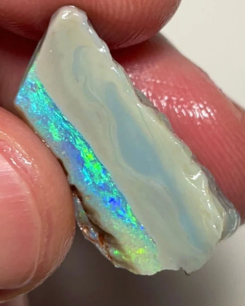 Lightning Ridge 16.75cts Rough Opal Dark Seam to cut gorgeous Multifires 27x10x9 mm NSW143