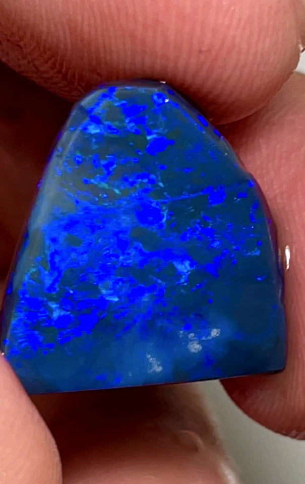 NEW YEARS DAY THNK U AUCTION1 Big Sized Blue on Black Opal Rub Rough 10cts L/Ridge Full of gorgeous fires 17x12x3mm SKU#0270