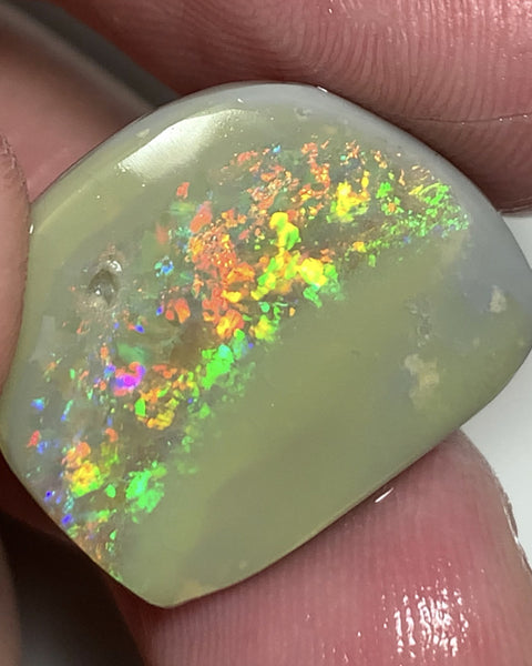 Australian Opal Top Notch Gem Quality Dark base Rub 14cts Rough / Rub / Preform Gemmy Multifires 22x17x4mm WSN33