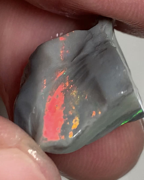 Australian Rough Opal Semi Black Seam Cutter 11.5cts High Grade Bright Lovely Reds on Tops and Second Green bar 17x14x7mm WSR56