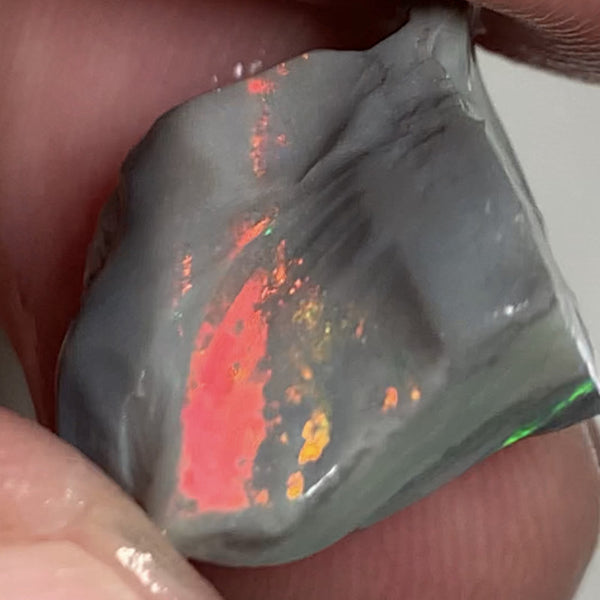 Australian Rough Opal Semi Black Seam Cutter 11.5cts High Grade Bright Lovely Reds on Tops and Second Green bar 17x14x7mm WSR56