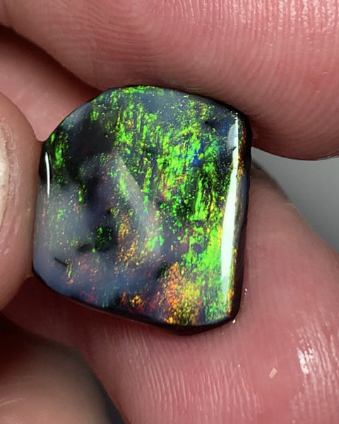 Lightning Ridge Black Opal Rough Rub 3.7cts Mulga® Field of Grawin Super Bright Yellow Orange & Red on Black 14x13x3mm WSJ49