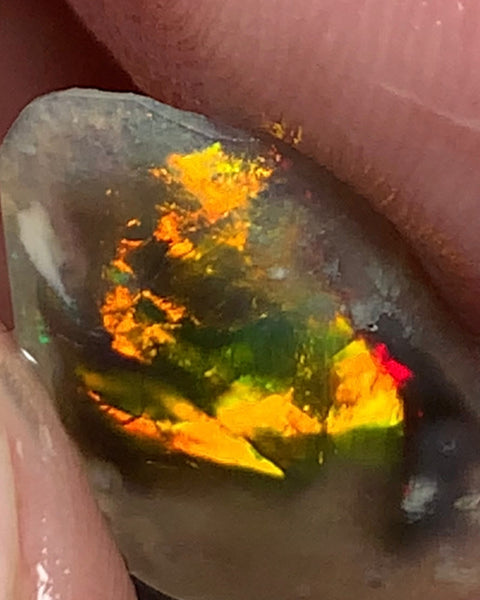 Australian Opal Gem Grade Single semi Black 2.4cts Rub/Rough Super bright Call 999 FIRE FIRE Broad flash pattern 18x12x1.5mm WSN29