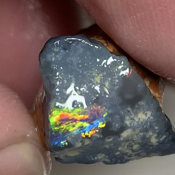Australian Rough Opal 25cts N4 Black Seams single sat on host rock Bright reds & rainbow of fires showing in the exposed bar lots Potential  21x17x14mm WSN44