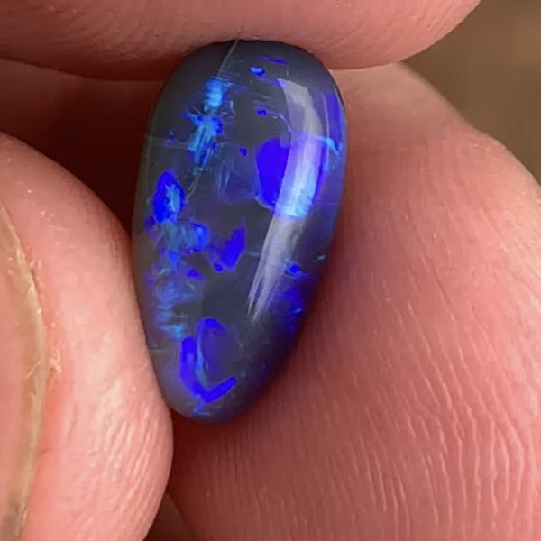 Australian Semi Black Opal Gemstone 2.5cts Gem Grade  N5 Body Tone B3 Brightness Crystal body with Stunning Blue fires 12x7x3.5mm WSP53