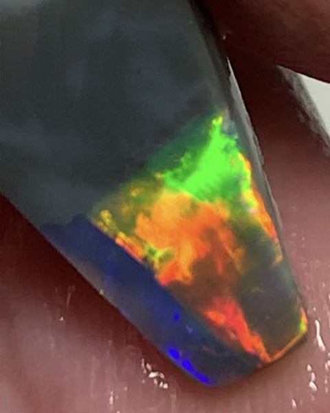 Australian Opal Gem Grade Single semi Black 3.4cts Rub/Rough Super bright Reds & Rainbow of Multifires Broad flash / Flagstone pattern 16x8x3mm WSJ40