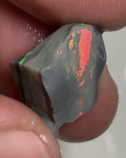 Australian Rough Opal Semi Black Seam Cutter 11.5cts High Grade Bright Lovely Reds on Tops and Second Green bar 17x14x7mm WSR56