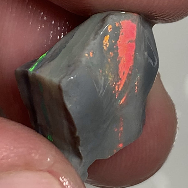 Australian Rough Opal Semi Black Seam Cutter 11.5cts High Grade Bright Lovely Reds on Tops and Second Green bar 17x14x7mm WSR56
