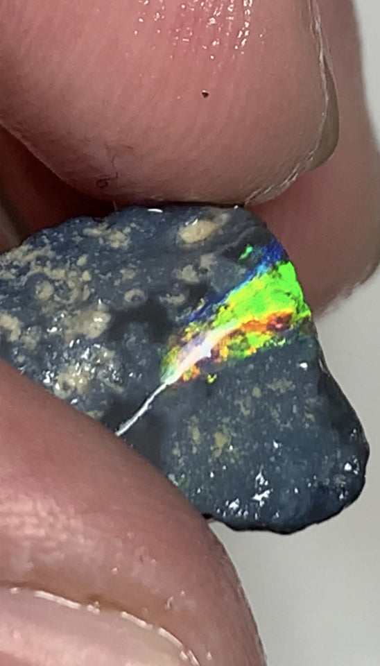 Australian Rough Opal 25cts N4 Black Seams single sat on host rock Bright reds & rainbow of fires showing in the exposed bar lots Potential  21x17x14mm WSN44