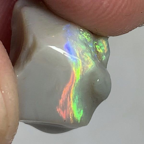 Australian Lightning Ridge Top Gem Select Bright Semi Black Seam Rough Opal 11cts Super Rainbow of Bright Multifires Stunning bar 16x11x11mm WSM100
