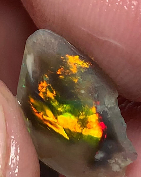 Australian Opal Gem Grade Single semi Black 2.4cts Rub/Rough Super bright Call 999 FIRE FIRE Broad flash pattern 18x12x1.5mm WSN29