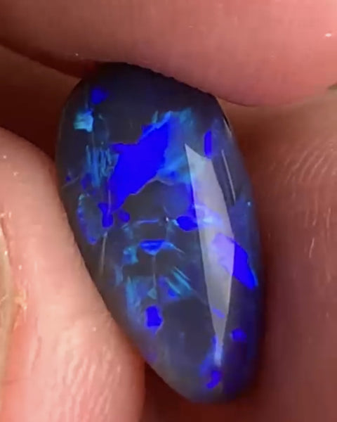 Australian Semi Black Opal Gemstone 2.5cts Gem Grade  N5 Body Tone B3 Brightness Crystal body with Stunning Blue fires 12x7x3.5mm WSP53