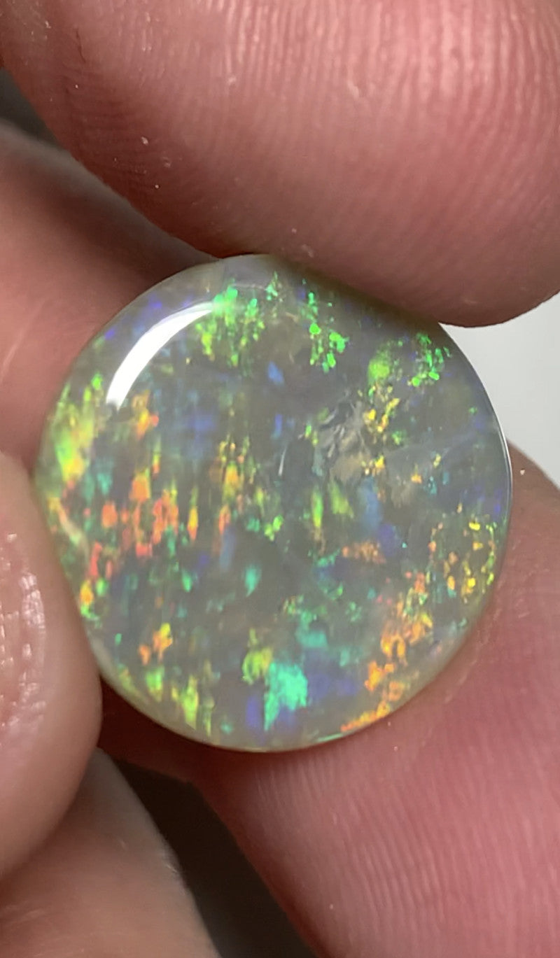 Opal dark clearance