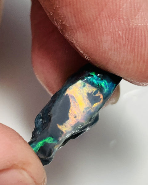 Australian Rough Mulga® Field Red on Black Opal Select Single 13cts Beautiful & Bright  Multicolours for cutters 22x15x6mm GEM666