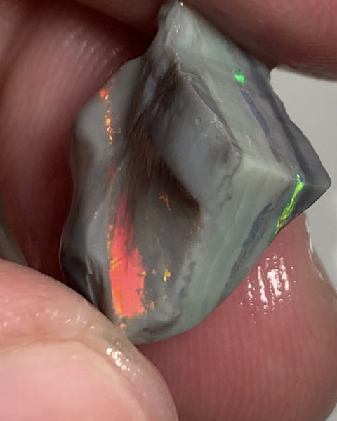 Australian Rough Opal Semi Black Seam Cutter 11.5cts High Grade Bright Lovely Reds on Tops and Second Green bar 17x14x7mm WSR56