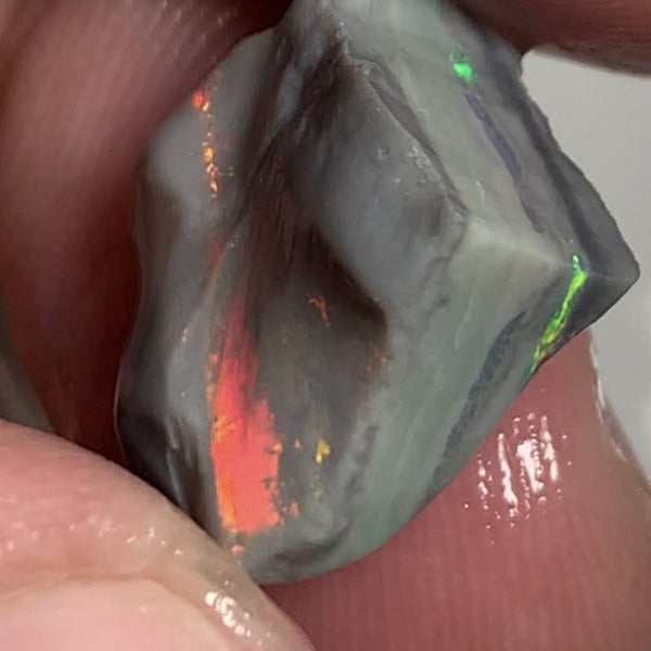 Australian Rough Opal Semi Black Seam Cutter 11.5cts High Grade Bright Lovely Reds on Tops and Second Green bar 17x14x7mm WSR56