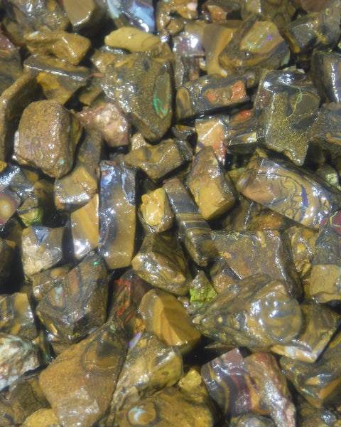 400 cts Random Scoop of Low Grade Koroit boulder/matrix ironstone pieces from Queensland Australia size range  20mm to 5mm size range